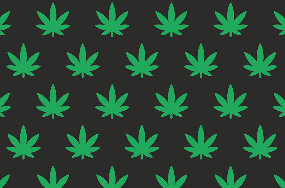 HOME_cannabis.jpg